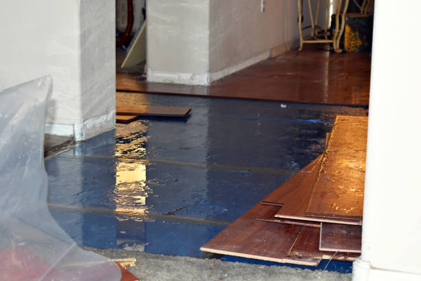 Professional Sewage Cleanup technician working in Clarksville, MI